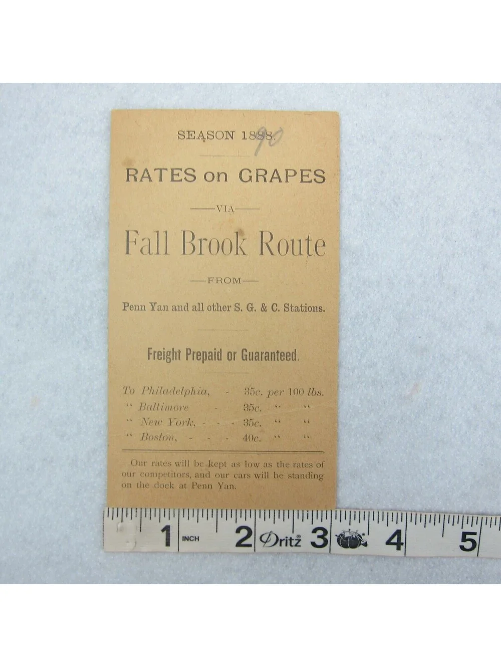 1888 Grapes Rate Card Syracuse Geneva & Corning Railway Fall Brook Route NY RARE